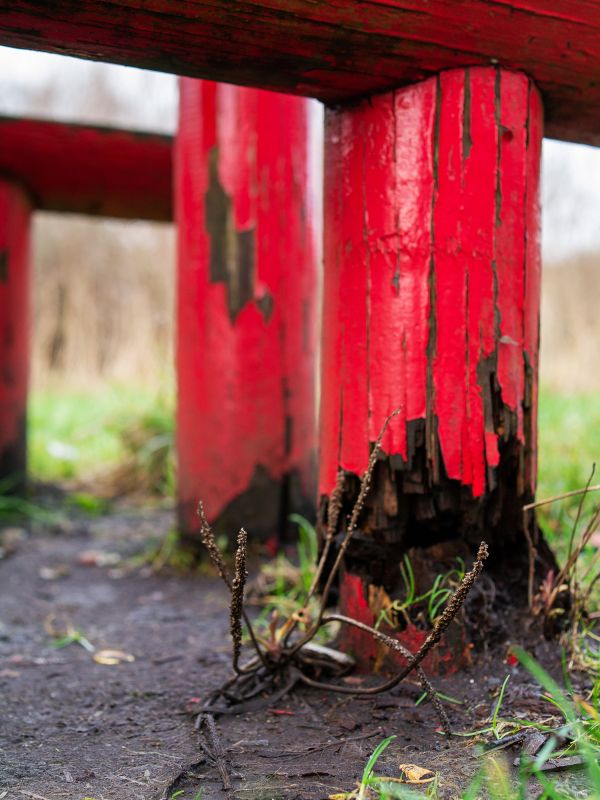 Inspection of Columns